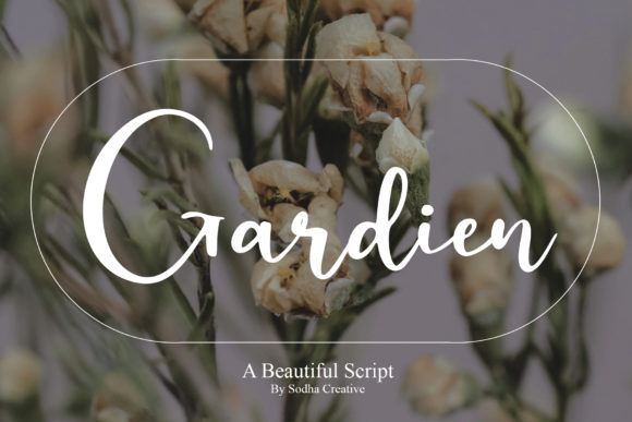 Enhance Your Brand with Gardien: A Modern Calligraphy Font