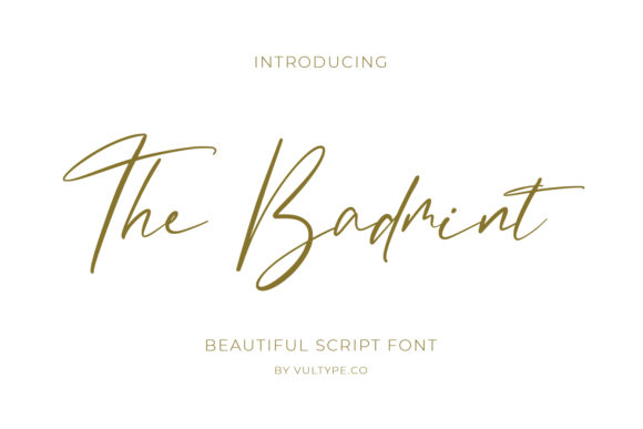 Enhance Your Campaign with The Badmint Font