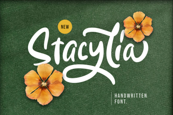 Stacylia: A Bold and Fun Font for Creative Campaigns