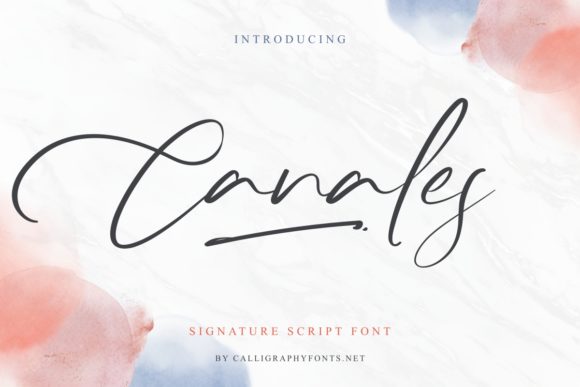 Transform Your Brand with Canales: A Charming Script Font